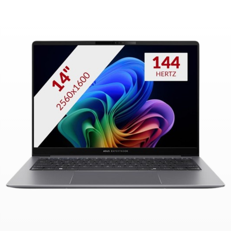 ASUS ExpertBook P5405CSA-NZ0174X